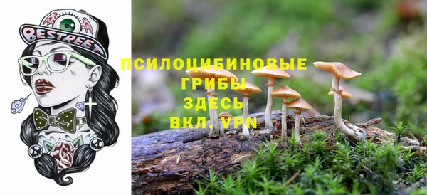 PSILOCYBIN Верхнеуральск